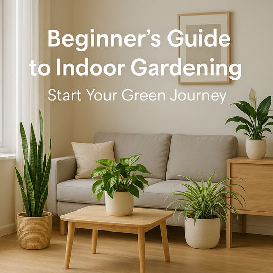 Beginner’s Guide to Indoor Gardening