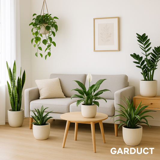 Top 10 Low-Maintenance Houseplants for Beginners