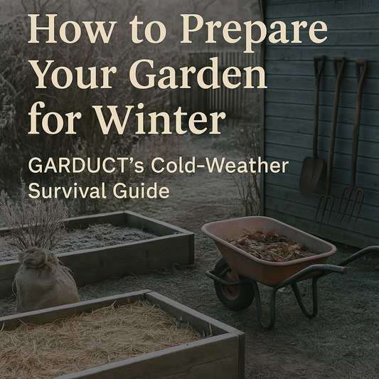 Winter Garden Prep: Protecting Plants from the Cold