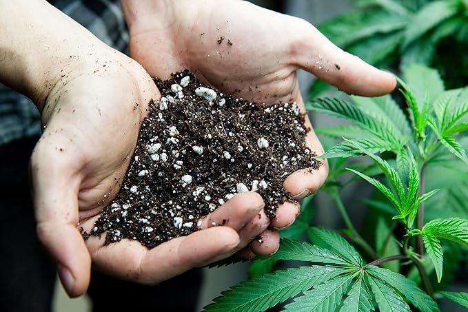 Premium Happy Plant Potting Soil Mix - Optimal Nutrient-Rich Blend for Thriving and HIGH-Yield Herbal Plants - 1 Quart