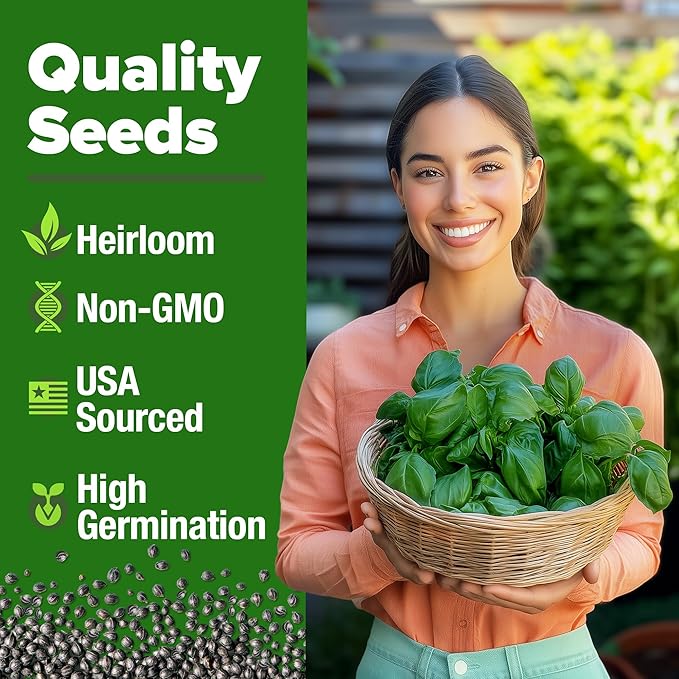 HOME GROWN Italian Basil Seeds (Bulk Pack), 1424 Sweet Large Leaf Basil Seeds for Planting, Non-GMO and Heirloom Herb Seeds for Planting Indoors or Outdoors (Ocimum basilicum)