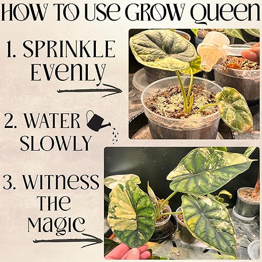 The All-in-One Complete Organic Plant Food, Indoor Plant Food for Houseplants, Organic Fertilizer for Vegetable Gardens, 1lb = 25 Formulated Servings Feeds 50 gal Instantly and Slow Release