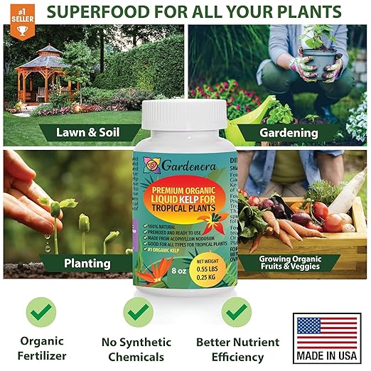 Specific Care for Tropical Beauties - 32 oz - Concentrated Kelp & Seaweed Extract for Thriving Tropical Plants