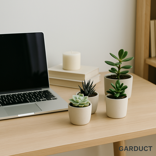 Desk Makeover with Succulents: Easy Styling Tips