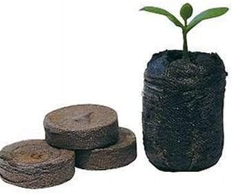 1000 Count (Full Case) - Jiffy 7 Peat Pellets - Seed Starter Soil Plugs - 36 mm - Start Seedlings Indoors - Easy To Transplant