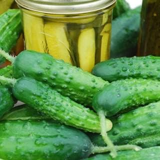 Park Seed Early Fortune Cucumber Seeds, Super Dependable and High Yielding, Pack of 30 Seeds