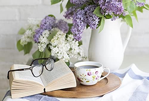 Set of Flower Seed Packets! Flower Seeds in Bulk - Great for Creating The Garden of Your Dreams! (50, Aster - Powderpuff Mix)