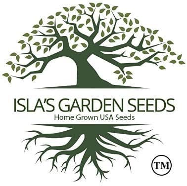 Tabasco Red Hot Chili Pepper Seeds for Planting, 50+ Heirloom Seeds Per Packet, (Isla's Garden Seeds), Non GMO Seeds, Botanical Name: Capsicum frutescens, Great Home Garden Gift