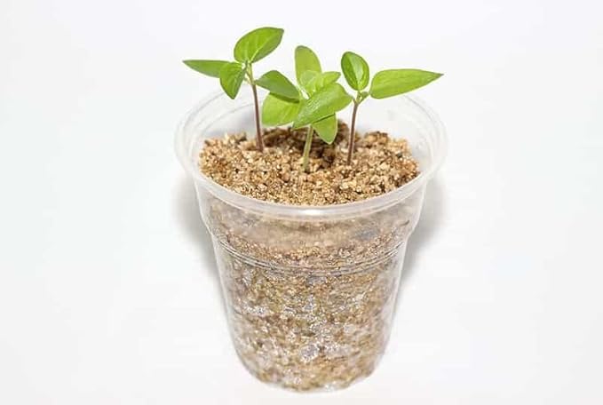 Premium Perlite and Vermiculite 50/50 Mix - Achieve The Perfect Balance of Air, Moisture, and Nutrients - 4 Quart