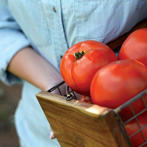 Park Seed Variety of Tomato Vegetable Seeds, Plant Seeds, Easy to Grow, Perfect for Harvesting, Park's Legacy, Pack of 20