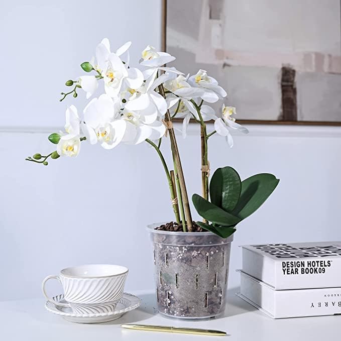 TRUEDAYS 6 Pack Orchid Pots with Holes, 6 Inch Clear Plastic Pots for Plants, Flowers, Breathable Slotted Orchids Planter