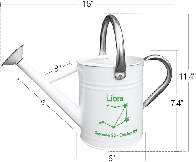 Metal Watering Can for Outdoor and Indoor Plants, Watering Can Decor, 1 Gallon (Libra)