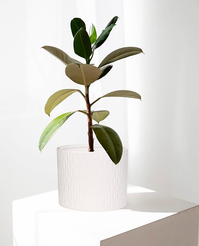LaDoVita Ceramic Plant Pot with Stand, 10 Inch Planter with Wood Shelf, Modern Round Flower Pots Indoor with Wood Planter Holder, White Water Ripple Pattern