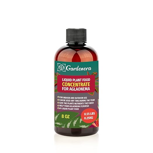 Plant Growth Superfood for AGLAONEMA with 18 Essential Vitamins & Minerals - Organic Plant Food Fertilizer - Micro-Fungi and Bio-Organisms for AGLAONEMA Plant Care & Growth Enhancement - 8oz