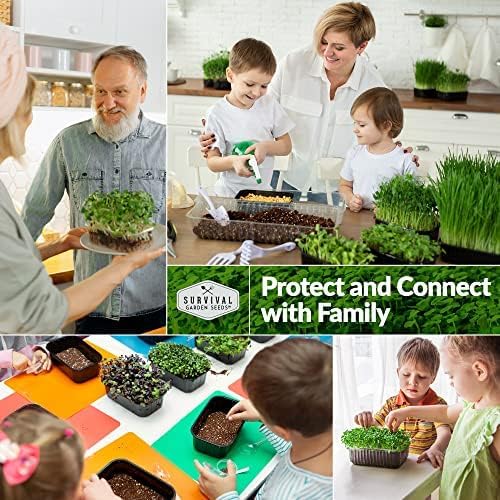 5 Packs Clover Microgreens Seeds for Sprouting and Growing - Sprout Green Leafy Micro Herb Plants Indoors - Grow A Mini Windowsill Garden - Non-GMO Heirloom