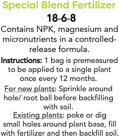 Perfect Plants Popcorn Drift Rose Live Plant, 1 Gallon, Includes Care Guide