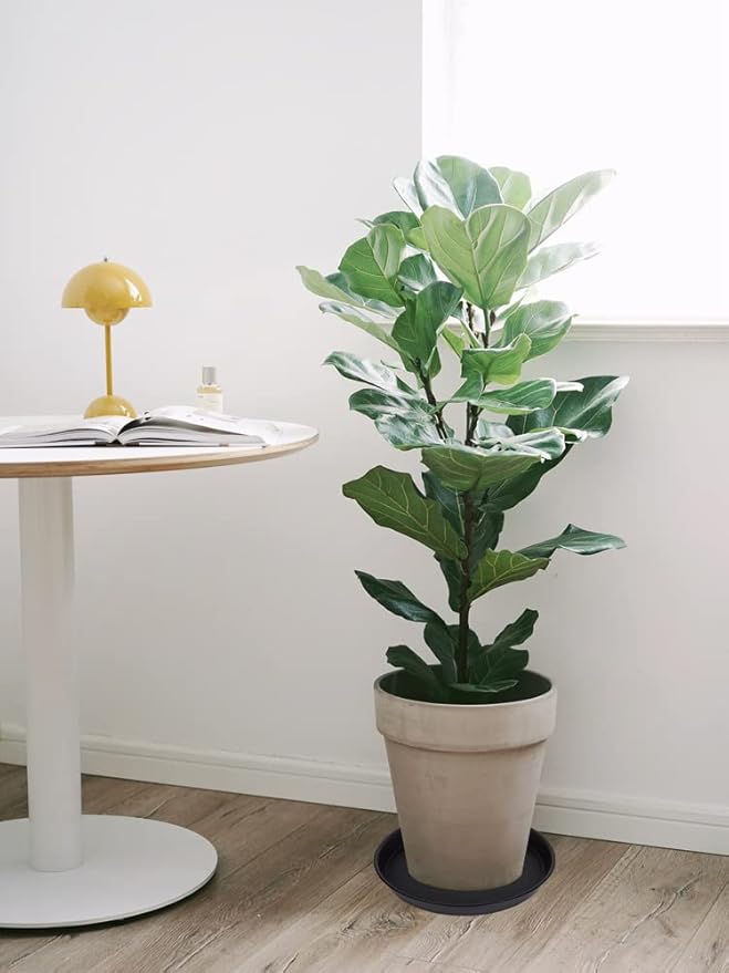 2 Pack of 16 17 inch Plant Saucer (15 inch Base), 2.3" Depth, Plant Trays for Pots, Plastic Plant Saucers for Indoors, Bird Bath Bowls, Flower Pot Drip Trays for Planter (17", Black)