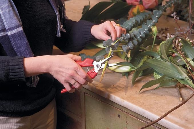 Felco Pruning Shears (F 310) - High Performance One-Hand Garden Pruners - F-310