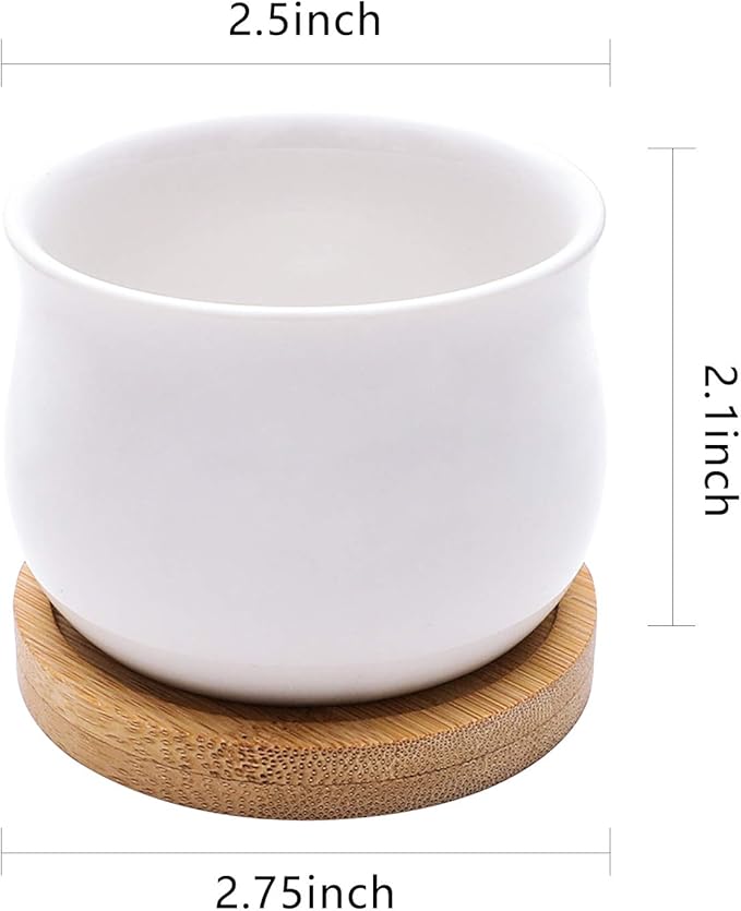 Succulent Plant Pot, White Mini 2.6 inch Ceramic Flower Planter Pot with Bamboo Tray, Pack of 8 - Plants Not Included