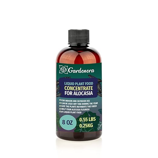 Plant Growth Superfood for ALOCASIA with 18 Essential Vitamins & Minerals - Organic Plant Food Fertilizer - Micro-Fungi and Bio-Organisms for ALOCASIA Plant Care & Growth Enhancement - 8oz