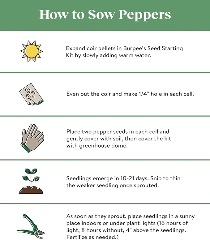Burpee Carnival Mix Sweet Pepper Seeds 100 seeds