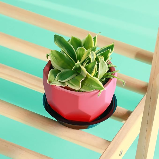 20 Pack 8 Inch Plant Saucer, Black Plant Saucers for Indoors No Holes, Plastic Plant Saucer for Plant Pots Plant Water Catcher Tray, Small Flower Pot Saucers Bulk Plant Drip Trays for Potted Plants