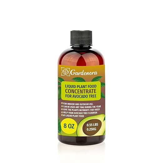 Plant Growth Superfood for Avocado Trees with 18 Vitamins & Minerals - Organic Plant Food Fertilizer - Micro-Fungi and Bio-Organisms for Avocado Plant Care & Growth Enhancement - 8oz