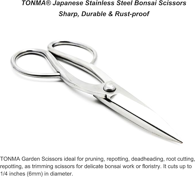 Ashinaga Bonsai Scissors [Made in Japan] 8 inch Soild Stainless Steel Hasami Pruning Shears Ultra Sharp & Rust-proof, Japanese Bonsai Garden Tools