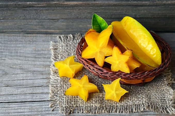 Premium Carambola Potting Soil Mix - Perfect Balance of Nutrients, Drainage, and Aeration for Thriving Starfruit Trees - 10 Quart