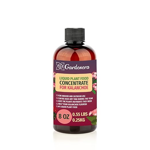 Plant Growth Superfood for KALANCHOE with 18 Essential Vitamins & Minerals - Organic Plant Food Fertilizer - Micro-Fungi and Bio-Organisms for KALANCHOE Plant Care & Growth Enhancement - 8oz
