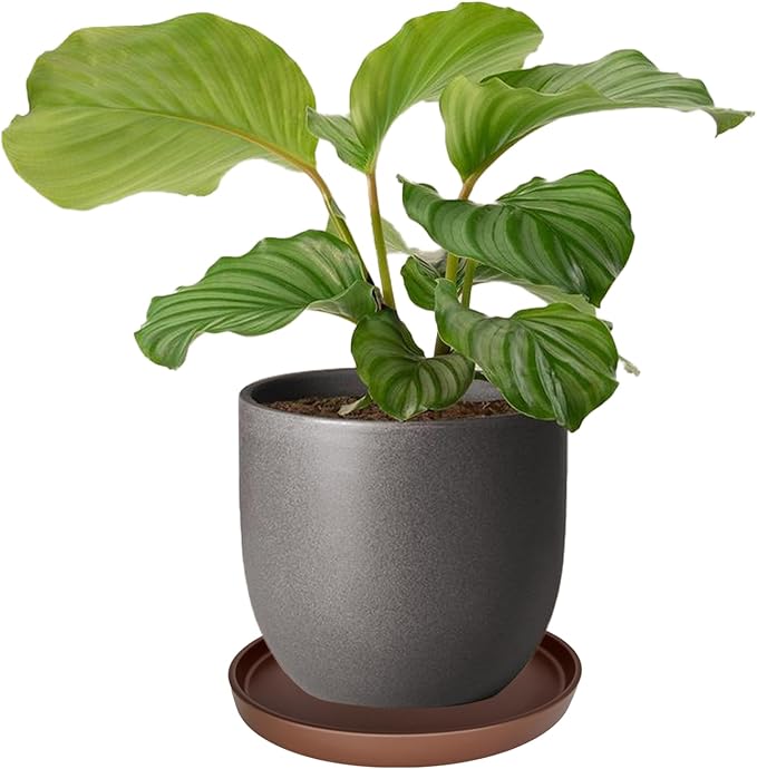 4 Pack Ceramic Plant Saucer Pot Tray 4 Inch, Planter Saucers 4 5 6 7 8 9 10 11 12 13 Inch for Indoors Outdoor, Durable Sturdy Flower Drainage drip Water Tray for Glazed Pots Base (4.7 Inch-Brown)