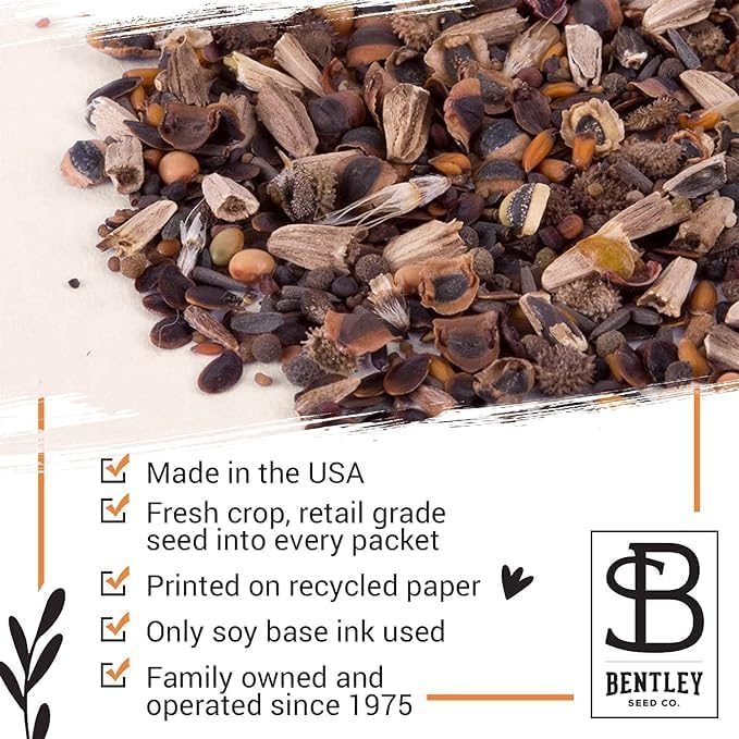 Bentley Classic Vintage Art Poppy Packets, Thinking of You Flanders Corn Seeds, Thoughtful Illustrated Flower Design, Eco-Friendly Hand Out, Sentimental Gift, 25 Pack