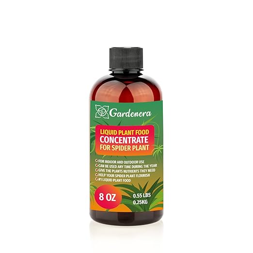 Plant Growth Superfood for Spider Plant with 18 Vitamins & Minerals - Organic Plant Food Fertilizer - Micro-Fungi and Bio-Organisms for Spider Plant Care & Growth Enhancement - 8oz