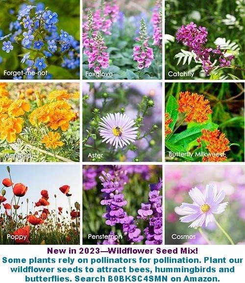 2025 EarlyBird-Organic Asian Pepper Seeds for Planting Vegetables and Fruits for 虎皮尖椒,Non-GMO Heirloom Seeds Chile Pepper Seeds for Home Vegetable Garden Hydronic Pods-30ct Vege Seeds:Shishito Pepper