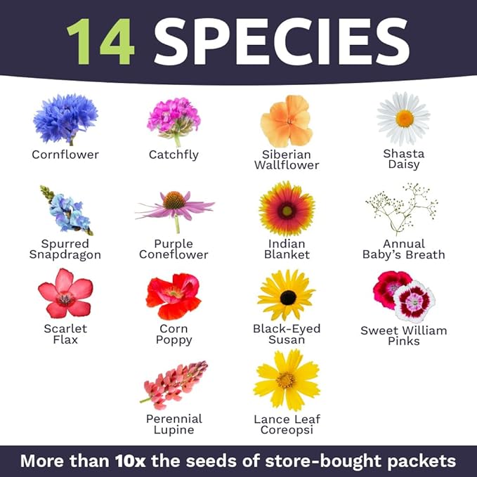 Northeast Wildflower Seeds - Bulk 1/4 Pound Bag - Over 30,000 Native Seeds - Open Pollinated and Non GMO Varieties for New York, Virginia, Pennsylvania, Maine and More!