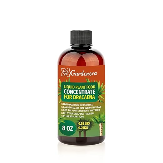 Plant Growth Superfood for Dracaena with 18 Essential Vitamins & Minerals - Organic Plant Food Fertilizer - Micro-Fungi and Bio-Organisms for Dracaena Plant Care & Growth Enhancement - 8oz