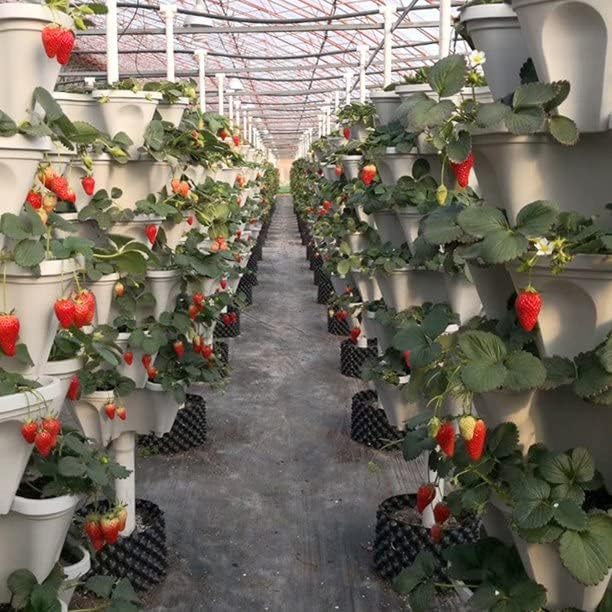 Strawberry Vertical Planters, 5 Tiered Stacking Tower Garden with Support Pole, Stackable Herb Vegetable Planters Indoor and Outdoor - White
