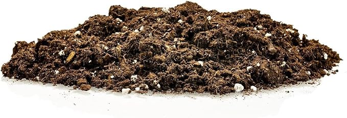 Premium Pothos Potting Soil Mix - Air Cleaning Plant Potting Mix, Soil Mix for Pothos, Parlor Palm, Peace Lily - (3 Quart Bag)