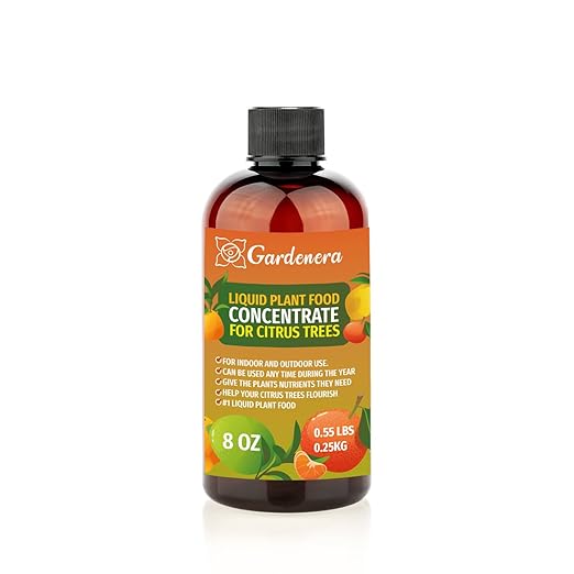 Plant Growth Superfood for CITRUS Trees with 18 Essential Vitamins & Minerals - Organic Plant Food Fertilizer - Micro-Fungi and Bio-Organisms for CITRUS Plant Care & Growth Enhancement - 8oz