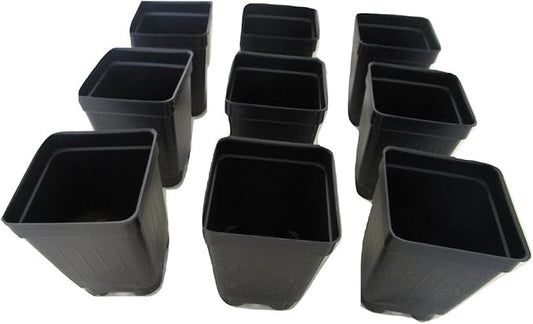 2.5" Square Extra Deep Landmark Nursery Pots - Press Fit (800)