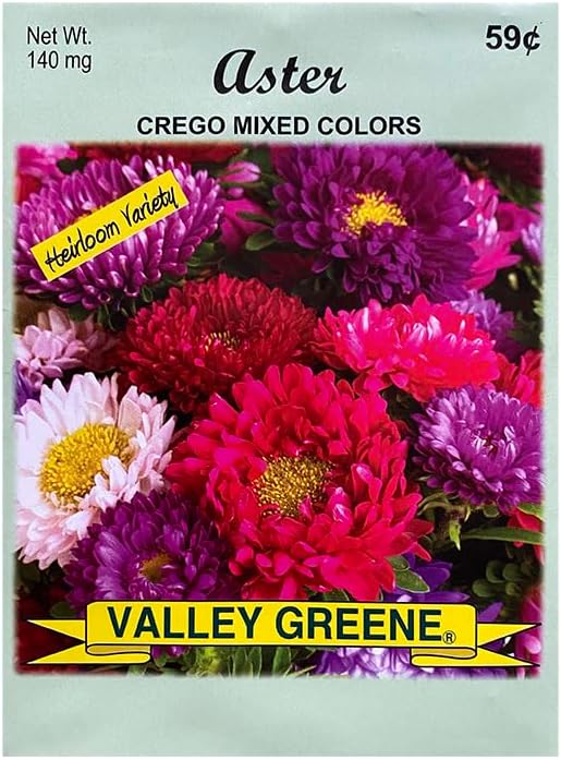 Set of Flower Seed Packets! Flower Seeds in Bulk - Great for Creating The Garden of Your Dreams! (100, Aster - Crego)