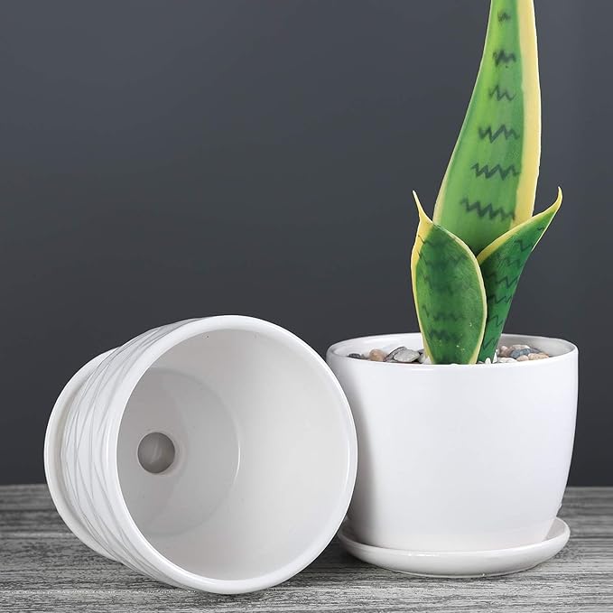 Plant Pots - 4.7 Inch Cylinder Ceramic Planters with Connected Saucer, Pots for Succuelnt and Little Snake Plants, Set of 4, White