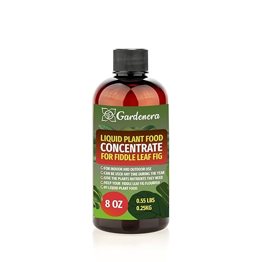 Plant Growth Superfood for Fiddle Leaf FIG with 18 Vitamins & Minerals - Organic Plant Food Fertilizer - Micro-Fungi and Bio-Organisms for Fiddle Leaf Fig Care & Growth Enhancement - 8oz