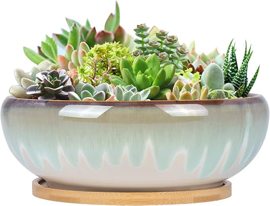 SQOWL 7 Inch Ceramic Succulent Planter Pot with Drainage Hole Drip Glazed Binsai Pot with Bamboo Tray for Indoor Plants