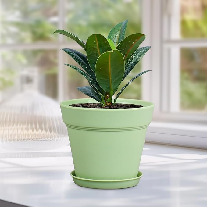 4 inch Small Plastic Nursery Pots, Seedling Pots, 16 Pack Plant Pots for Indoor Outdoor Plants, Flower Pots with Drainage Holes and Saucers, Decorative Planters for House Plants, Colorful
