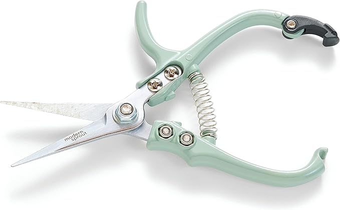 Modern Sprout Pruning Shears for Gardening, Herb Snips, Flower Cutting Scissors, Indoor Plant Shears, Lightweight, Ergonomic, Carbon Steel Blade, Easy-Lock Safety-Catch, Aesthetic, Green, Micro-tip