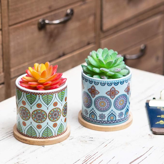 Succulent Plant Pots - 3.1 inch Ceramic Succulent Planter -Cylinder Flower Pots for Cactus with Drainage Hole and Bamboo Tray, 6 Pack、Plants not Included (Multicolor2)
