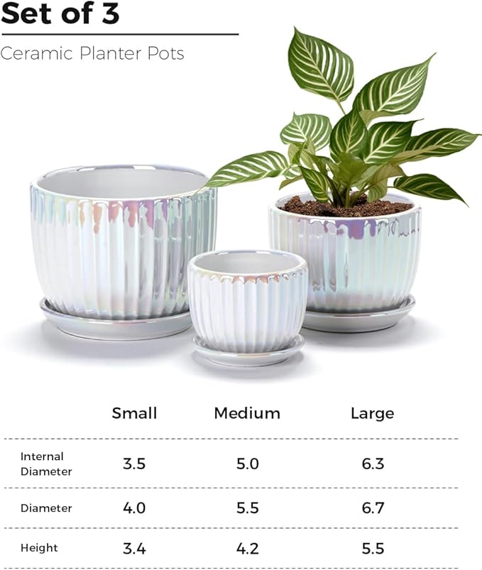 Ton Sin White Plant Pots,Pearl Gold Ceramic Flower Pots 4"+5"+6" Inch Indoor Succulent Pot with Drainage Hole - Decorative Orchid Pots and Herb Pots Set of 3