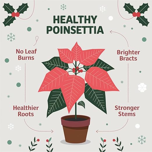 Poinsettia Plant Fertilizer - 3-1-2 NPK - Organic Liquid Plant Food for Christmas Flowers and Trees - 8oz Concentrate
