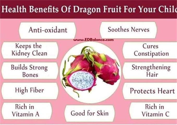 Garden Plants Seeds 100+ Red Dragon Fruit Seeds Pitaya Pitahaya Hylocereus Undatus Cactus Grow Rare